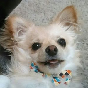 Meet your Posher, Charles